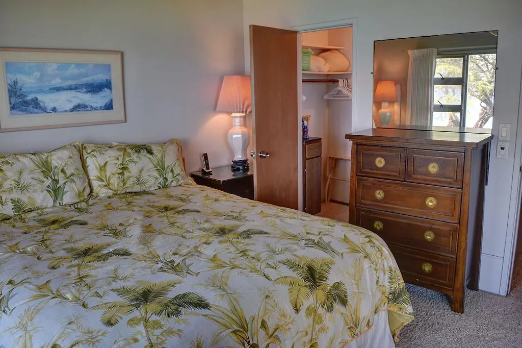 Royal Mauian 307 Apartment Kihei 0*,  United States